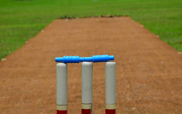 The art of cricket mindfulness training: Utilizing mental exercises for player performance