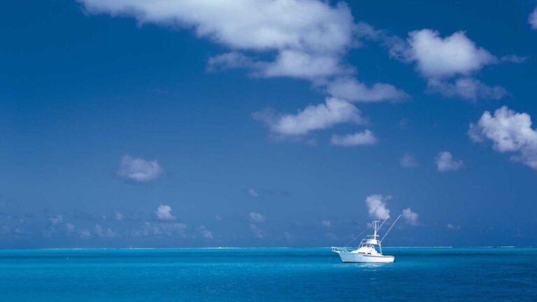 What Steps Are Needed To Download Exchange 99 On Android?